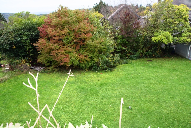 Garten Haus Ruppichteroth