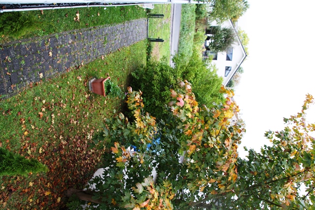 Garten Richtung Stra�e Haus Ruppichteroth